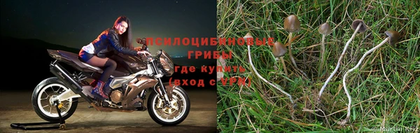 Альфа ПВП Ростов