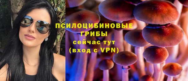 мяу мяу мука Рославль
