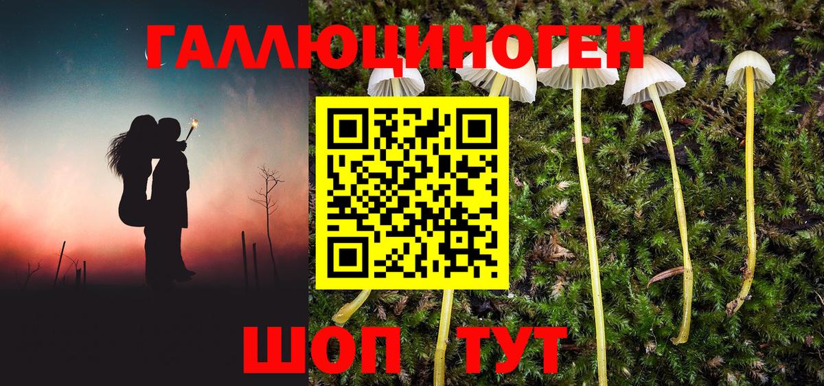 Стрежевой  Псилоцибиновые грибы ЛСД  Вход с VPN 